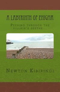 Newton Gatambia Kibiringi - A Labyrinth of Enigma!: Peering through the villain's seethe., Häftad
