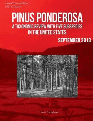 bokomslag Pinus ponderosa: A Taxonomic Review With Five Subspecies in the United States