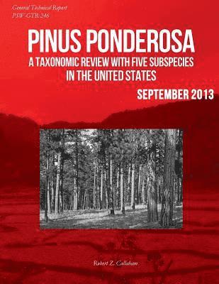 Pinus ponderosa: A Taxonomic Review With Five Subspecies in the United States 1
