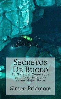 bokomslag Secretos De Buceo