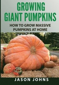 bokomslag Growing Giant Pumpkins - How To Grow Massive Pumpkins At Home