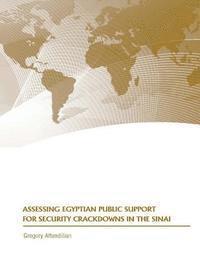 bokomslag Assessing Egyptian Public Support for Security Crackdown in the Sinai