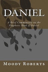 bokomslag Daniel: A Brief Commentary on the Prophetic Book of Daniel