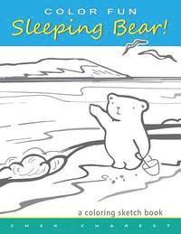 COLOR FUN Sleeping Bear! A Coloring Sketch Book: A coloring book that follows a mother bear and her two cubs as they explore the sights and attraction 1