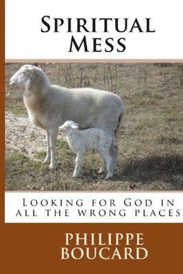 bokomslag Spiritual Mess: Looking for God in all the wrong places