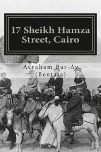 bokomslag 17 Sheikh Hamza Street, Cairo: Life on the back of a sleeping crocodile