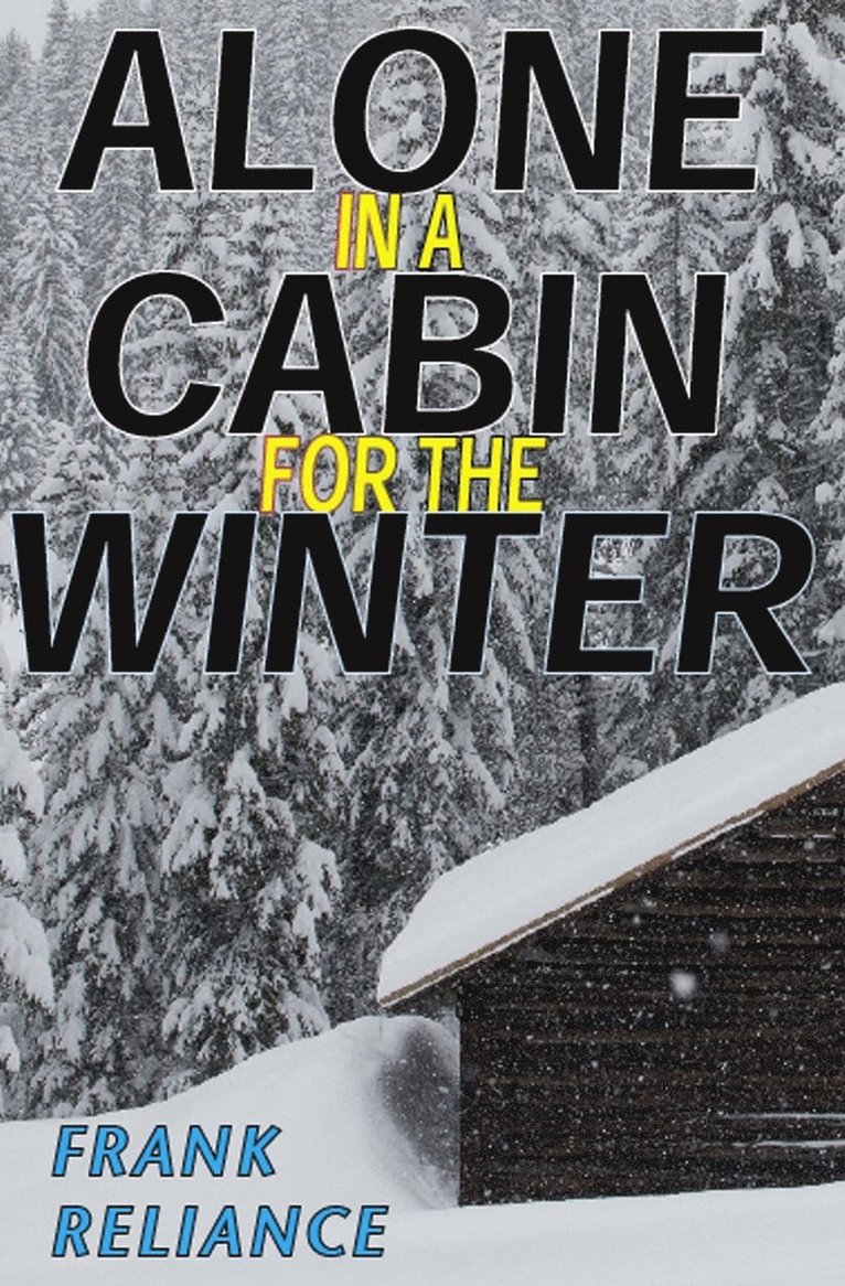 Alone in a Cabin for the Winter 1