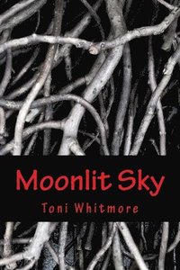 bokomslag Moonlit Sky