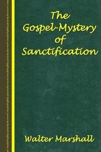 bokomslag The Gospel-Mystery of Sanctification