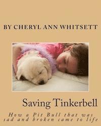 bokomslag Saving Tinkerbelle