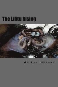 bokomslag Borrowed Eyes: The Lilitu Rising