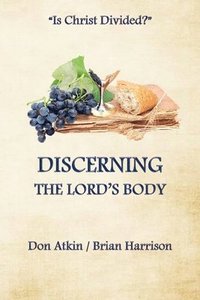 bokomslag Discerning the Lord's Body