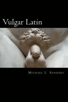 bokomslag Vulgar Latin