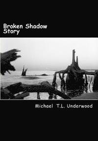 bokomslag Broken Shadow