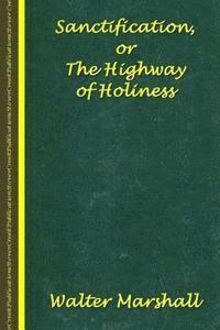 bokomslag Sanctification; The Highway of Holiness