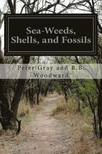 bokomslag Sea-Weeds, Shells, and Fossils