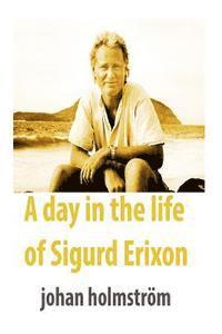bokomslag A day in the life of Sigurd Erixon