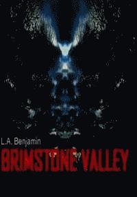 bokomslag Brimstone Valley: Short Story Series
