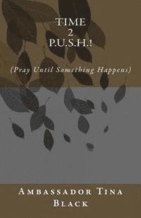 bokomslag Time 2 P.U.S.H.!: (Pray Until something Happens)