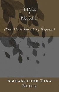 Ambassador Tina Black - Time 2 P.U.S.H.!: (Pray Until something Happens), Häftad