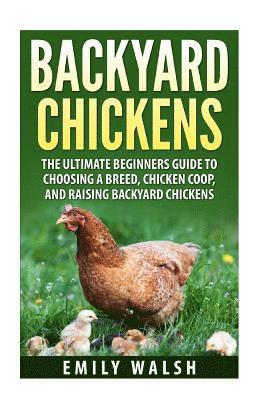 Emily Walsh - Backyard Chickens: The Ultimate Beginners Guide to Choosing a Breed, Chicken Coop, and Raising Backyard Chickens, Häftad