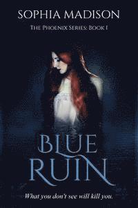 bokomslag Blue Ruin