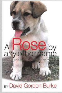 bokomslag A Rose by Any Other Name: Life Lessons from an Unremarkable Dog