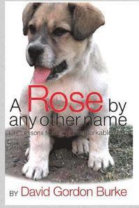 David Gordon Burke - A Rose by Any Other Name: Life Lessons from an Unremarkable Dog, Häftad