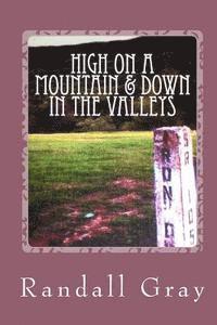 bokomslag High on a Mountain and Down in the Valleys: More Arkansas Tales