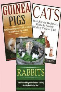 bokomslag Guinea Pigs, Rabbits, Cats: Pets: 3 in 1 Box Set: Book 1: Cats + Book 2: Rabbits + Book 3: Guinea Pigs