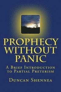 bokomslag Prophecy Without Panic: A Brief Introduction to Partial Preterism