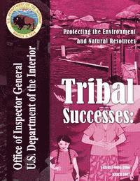 bokomslag Tribal Successes: Protecting the Environment and Natural Resources