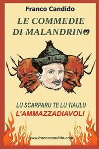 bokomslag Le Commedie di Malandrino: Lu Scarparu te lu Tiaulu - L'Ammazzadiavoli