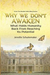 bokomslag Why We Don't Awaken: What Holds Humanity Back From Reaching Its Potential