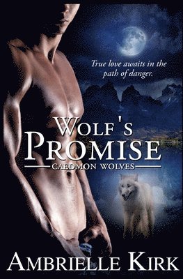bokomslag Wolf's Promise