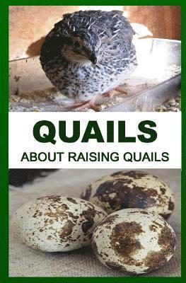 Quails: About Raising Quails 1