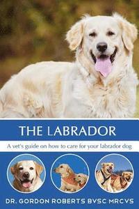 bokomslag The Labrador: A vet's guide on how to care for your Labrador dog