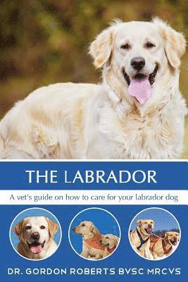 The Labrador: A vet's guide on how to care for your Labrador dog 1