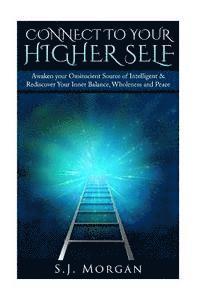 bokomslag Connect To Your Higher Self: Awaken your Omniscient Source of Intelligence & Rediscover Your Inner Balance, Wholeness and Peace