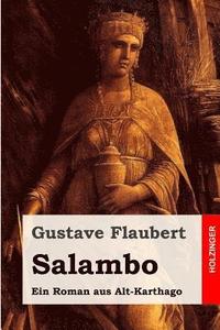 bokomslag Salambo: Ein Roman aus Alt-Karthago