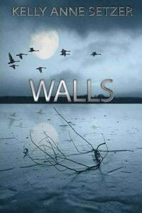 bokomslag Walls