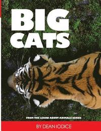 bokomslag Big Cats