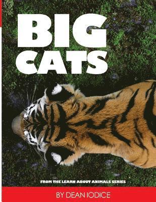 Big Cats 1