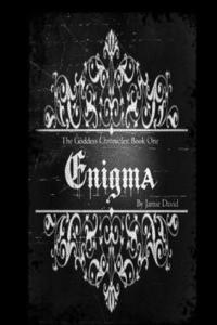 bokomslag The Goddess Chronicles: Engima