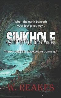bokomslag Sinkhole