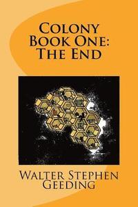bokomslag Colony: Book One: The End