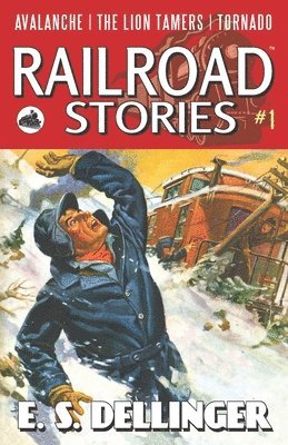 bokomslag Railroad Stories: Avalanche!