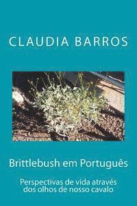 Brittlebush em Português: Perspectivas de vida através dos olhos de nosso cavalo 1