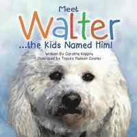 bokomslag Meet Walter - The Kids Named Him
