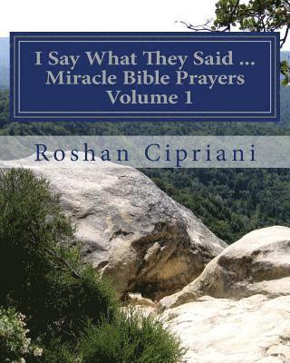 bokomslag I Say What They Said - Miracle Bible Prayers Volume 1